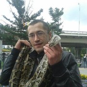 ���������� �����, ���� ������� ������, 40 ���, ������������ ��� ������, ����� � ���������, c�������� ���������, ���������