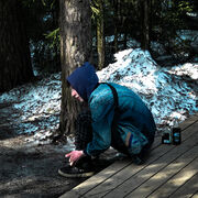 ���������� �����-���������, ���� ����� ������, 23 ����, ������������ ��� ����� � ���������, c�������� ���������