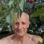  -,   , 66 ,     , c , 