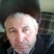  ,   Sasha, 59 ,     , c 