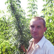  ,  tavelii, 46