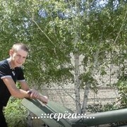  ,  serega, 34