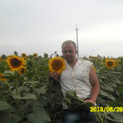  ,   Alex, 41 ,     , c 