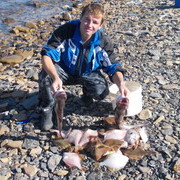 ���������� �����������, ���� ������� ����, 44 ����, ������������ ��� ������