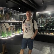 ���������� �����, ���� ������� ������, 28 ���, ������������ ��� ������, ����� � ���������