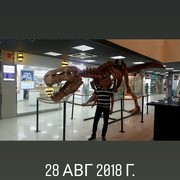  ,  , 39