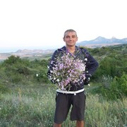 ���� �����������