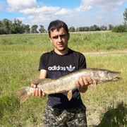 ���������� ������, ���� ������� ���������, 31 ���, ������������ ��� ������, ����� � ���������, c�������� ���������