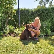  Morlaix,   Beatrice, 51 ,   ,   