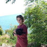 ���������� ������� ����, ���� ������� �������, 43 ����, ������������ ��� ������, ����� � ���������, c�������� ���������