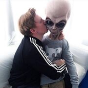 ���������� �����������, ���� ������� ������, 30 ���, ������������ ��� ������, ����� � ���������