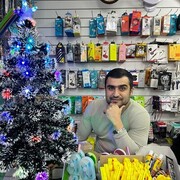  ,   Xan, 31 ,   ,   , c , 