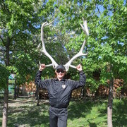 ���������� ���������, ���� ������� �����, 39 ���, ������������ ��� ������