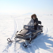 ���������� ����-�����������, ���� ������� ������, 40 ���, ������������ ��� ����� � ���������, c�������� ���������