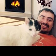 ���������� �������, ���� ������� �������, 33 ����, ������������ 