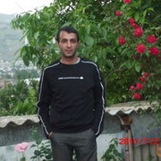  ,  sako, 43