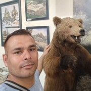 ���������� ������, ���� ������� ����, 37 ���, ������������ ��� ������, ����� � ���������, c�������� ���������, ���������