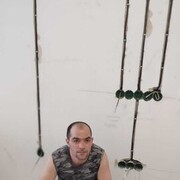 ���������� ���������, ���� ������� ���������, 35 ���, ������������ ��� c�������� ���������, ���������