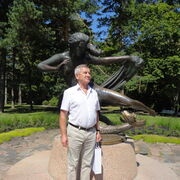  ,   , 54 ,     