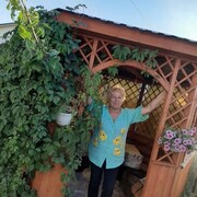 ���������� ����, ���� ������� ������, 71 ���, ������������ ��� ������, ����� � ���������, c�������� ���������