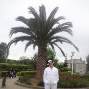  ,   GITIN, 56 ,   