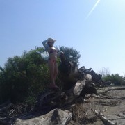  ,   , 57 ,   ,   , c 