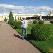  -,   , 37 ,   ,   , c 