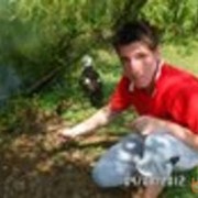  ,   Volms, 36 ,   ,   , c 