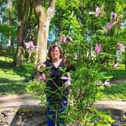 ���������� ������, ���� ������� ���, 65 ���, ������������ ��� ������, ����� � ���������