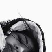 ���������� ���������, ����