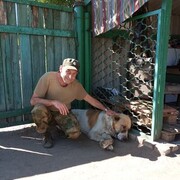 ���������� �������, ���� ������� �������, 56 ���, ������������ ��� ������, ����� � ���������, c�������� ���������