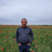  --,   , 51 ,   ,   , c 