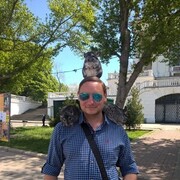  ,   , 38 ,     , c 