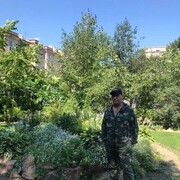 ���������� �����������, ���� ������� ��������, 51 ���, ������������ ��� ������, ����� � ���������