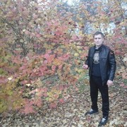 ���������� ������, ���� ������� ������, 38 ���, ������������ ��� ������, ����� � ���������, c�������� ���������