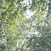 ���������� ������, ���� ������� ������, 42 ����, ������������ ��� ������, ����� � ���������, c�������� ���������, ���������