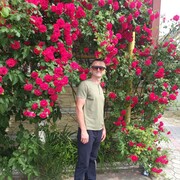  --,   , 46 ,     , c , 