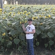  Hong Kong,   , 44 ,   ,   