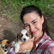 ���������� ������������, ����