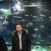 ���������� ��������, ���� ������� ������, 44 ����, ������������ ��� ������, ����� � ���������, c�������� ���������