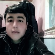  ,   SHOXRUH, 24 ,   ,   , c 