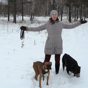  ,   , 53 ,  