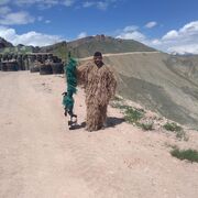 ���������� �����-���������, ���� ������� ������, 40 ���, ������������ ��� c�������� ���������