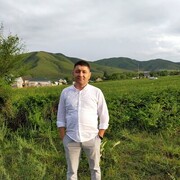  ,   , 43 ,  