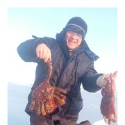 ���������� ����-���������, ���� ������� ����, 50 ���, ������������ ��� ����� � ���������, c�������� ���������