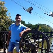 ���������� ������, ���� ������� ���������, 43 ����, ������������ ��� ���������