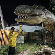 ���������� ������-��-����, ���� ������� ������, 29 ���, ������������ ��� ������, ����� � ���������