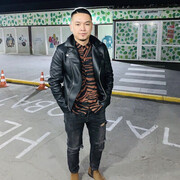  ,   ZHIGA, 31 ,   ,   , c , 