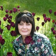  ,   , 44 ,   c , 