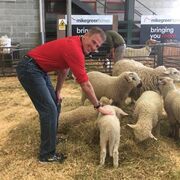 ���������� Boismorand, ���� ������� Peter, 55 ���, ������������ ��� ����� � ���������, c�������� ���������, ���������